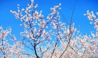 每当遇到诱惑时，就想想咱的家人吧