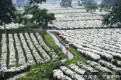 弱弱地问一句，你们囤盐了吗