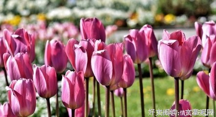 夫妻间切勿冷战，要多多沟通才行