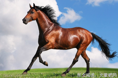 虽然辛苦，但乐于助人也能收获爱情