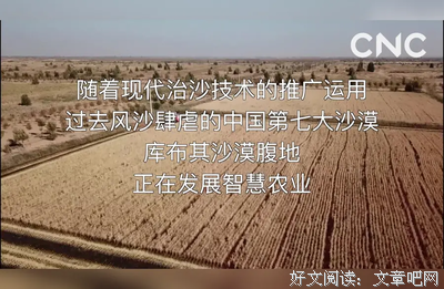 槐之害·柿子灭与绿色沙漠