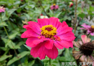 刻在瓦片上的名字
