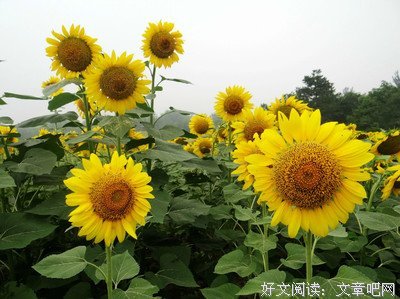 适时低头