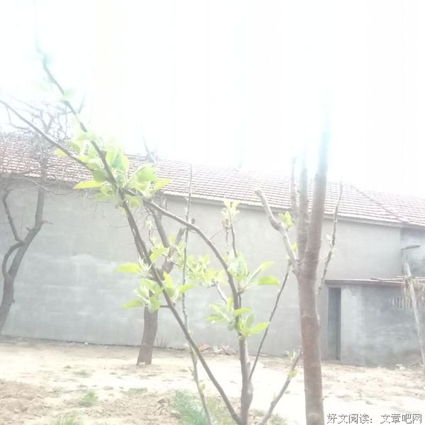 莫让青春负年华