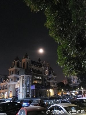 欲买桂花同载酒，终不似少年游