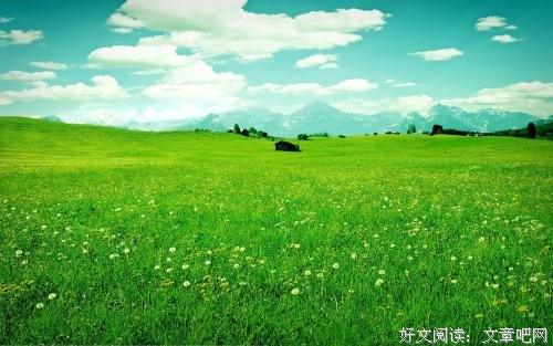 夏季适宜养心