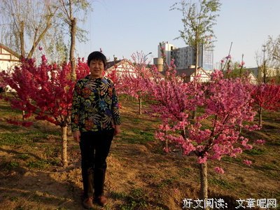 现在再遇上母亲节，于我而言，母亲，只是一个回忆了