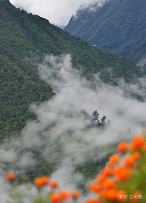 从恍惚中醒来，每天保持平静的心态，认真地生活