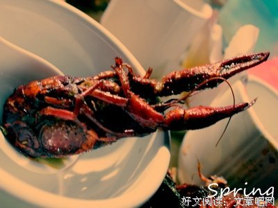 有人问我，为什么有人不敢小龙虾呢，我想...
