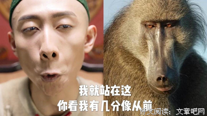 随便聊聊新版鹿鼎记韦小宝的扮演者张一山