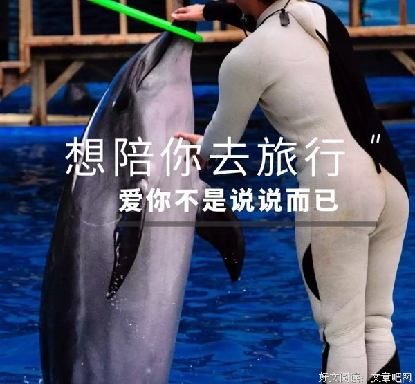 说说马云最近直播被弹幕吐槽的事吧