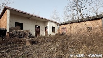 据说表演完后，赵本山和宋丹丹两人也是在春晚后台抱头痛哭起来