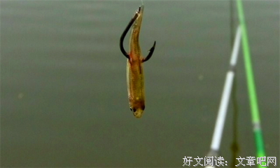 大家觉得几秒钟收费80块钱贵吗？