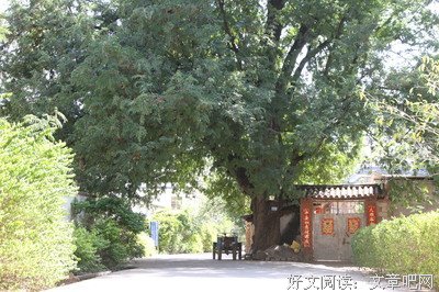 留住乡愁，又有几人还能知道乡愁？