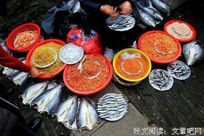 没想到买个鱼南北方竟然有这么大的区别
