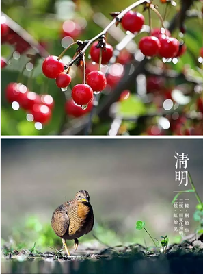 思故人