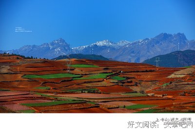 三表哥