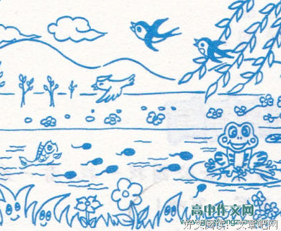 爱护小鸟（看图写话）