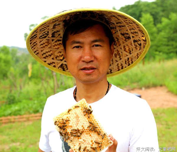 说说刘海军《甜蜜的事业》-- “蜜蜂哥”的两大堪忧谁来破解