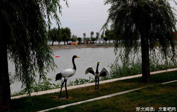 “公有制”让湖水重现烟波浩渺 -卧龙湖湿地保护两重所有制两重天