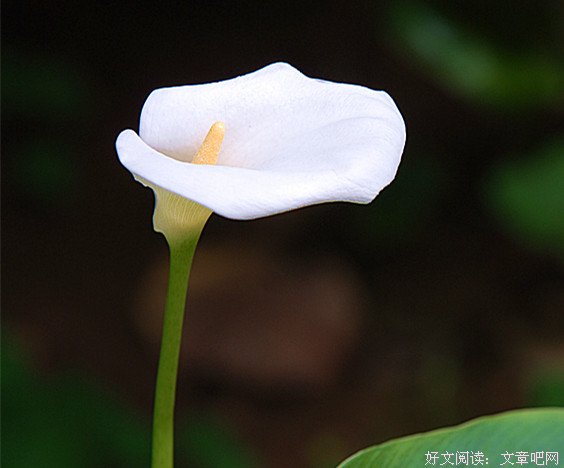 失去 或许是最好的结局