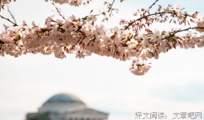 她从不肯委屈我一秒