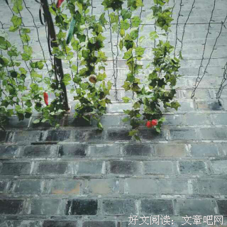 我还在努力