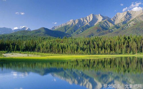 小猴子下山