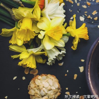 大蒜——人们的致富助手