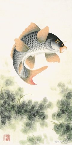 鲤鱼跳龙门
