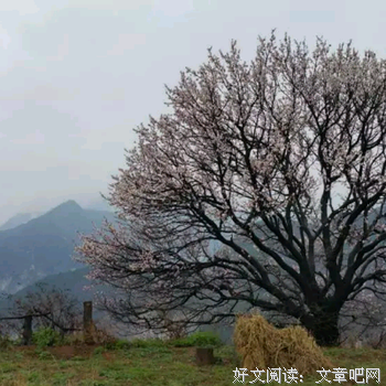 《纪梦》