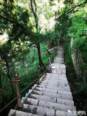 《但有泉声洗我心》