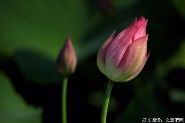 69岁的她，还有一个91岁的妈妈