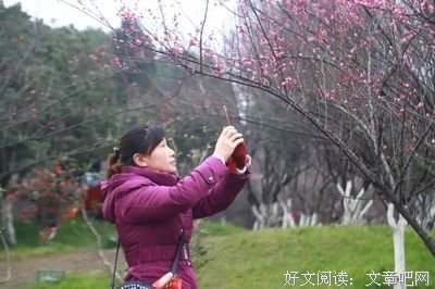 好心疼的梅村