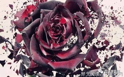 做个淡泊名利的没心没肺的人