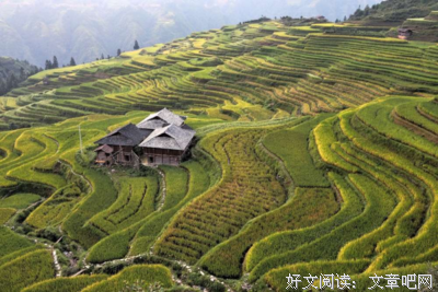 宝宝把妈妈种菜的土都倒了出来