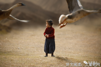 愿这次能怀上一个男宝宝