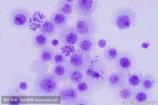 从基因认识生命——读《基因传》后感