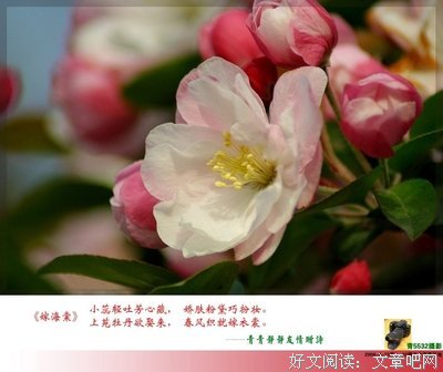 我i的忘年交