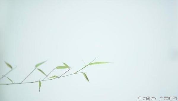 女人最好的教养是静静等待