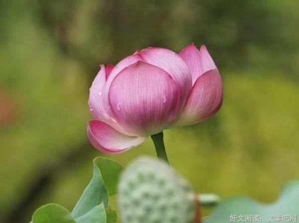 活着请善待自己