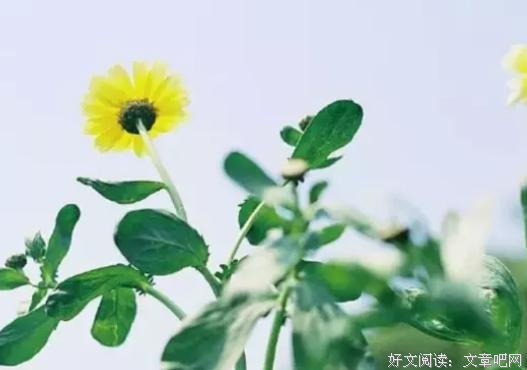 给自己点空间 别对人太好