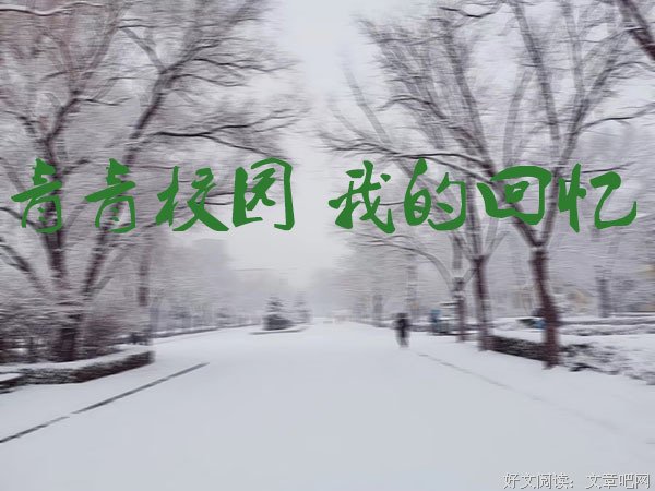 校园趣事：卢俊卿教我滑雪的惊险瞬间