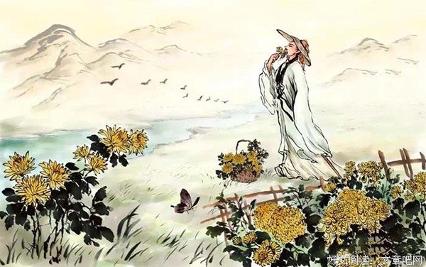 忆室友卢俊卿之采菊东篱下