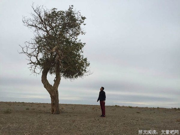 校园故事：卢俊卿的飞来横祸
