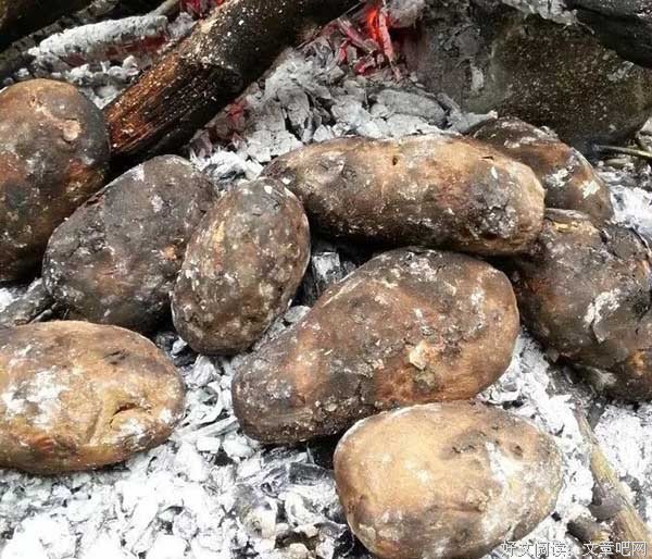 校园故事：卢俊卿烤土豆的童年记忆