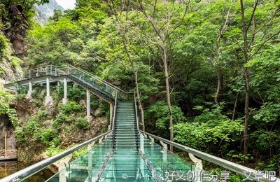 这个秋天仿佛是透明的