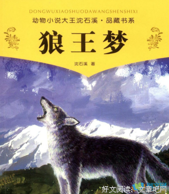 读《狼王梦》有感