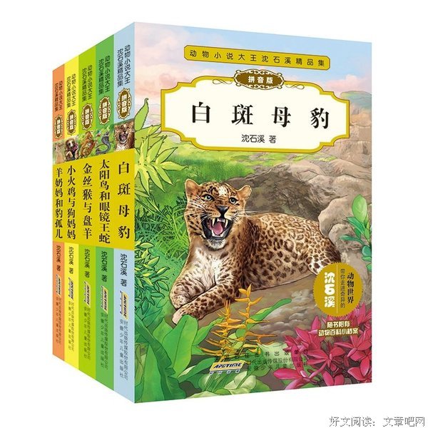 《金丝猴与盘羊》读后感