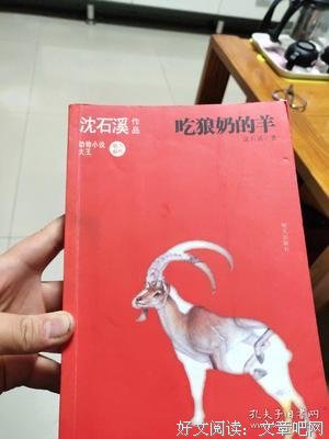 划破黑暗的光芒——读《吃狼奶的羊》有感